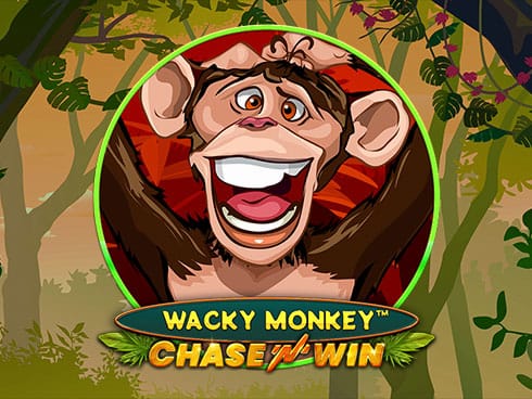 Wacky Monkey - Chase'N'Win game screenshot